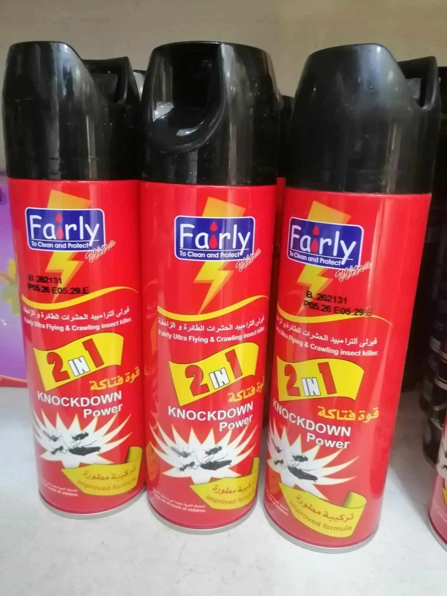 2 in 1 Flying & Crawling Insect Killer Spray
